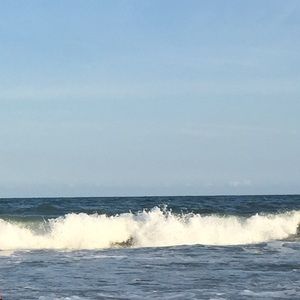 Meet your Posher, Kandy